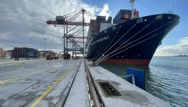 celebration of our one-year journey1